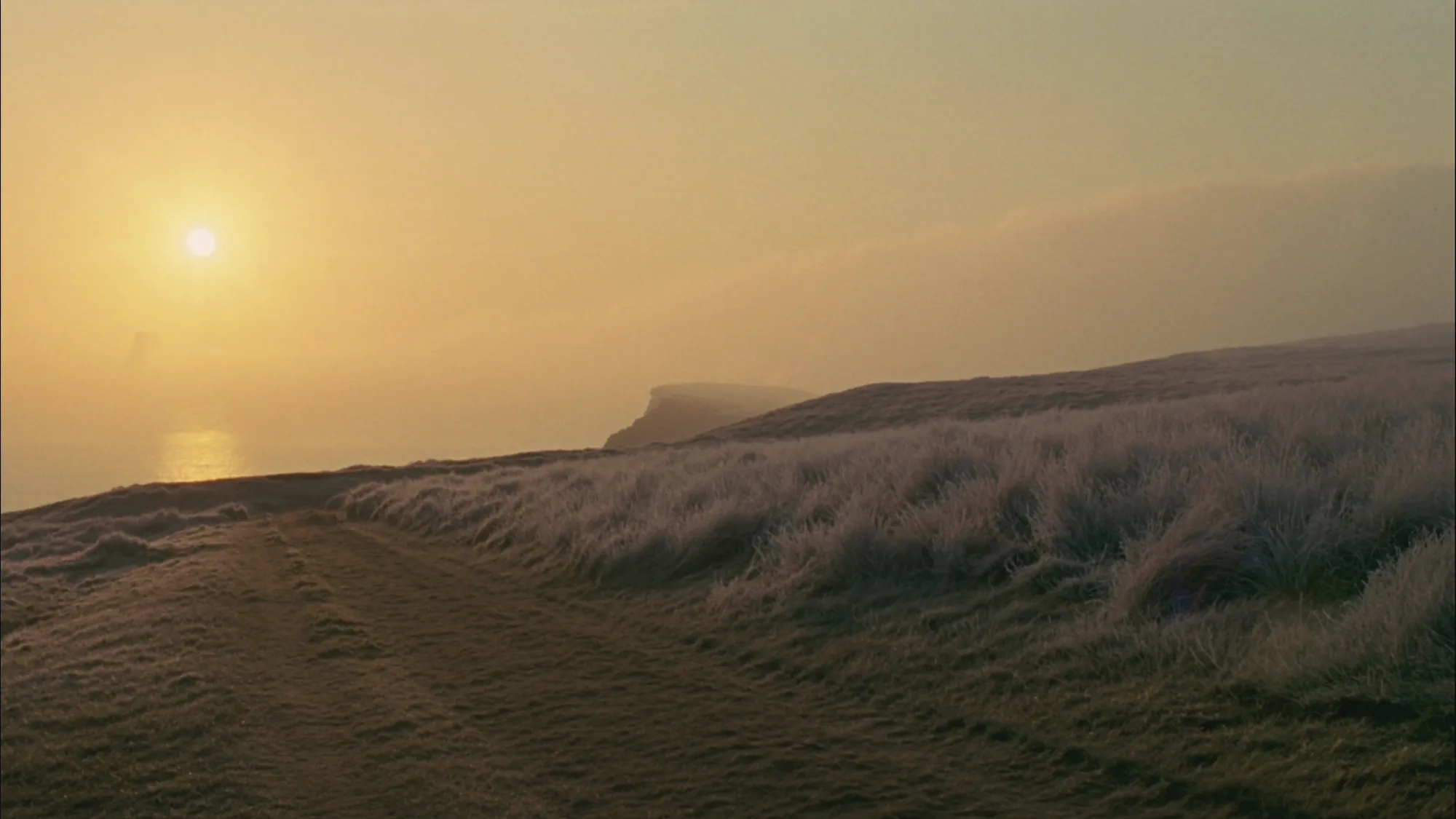 Frost on the clifftop