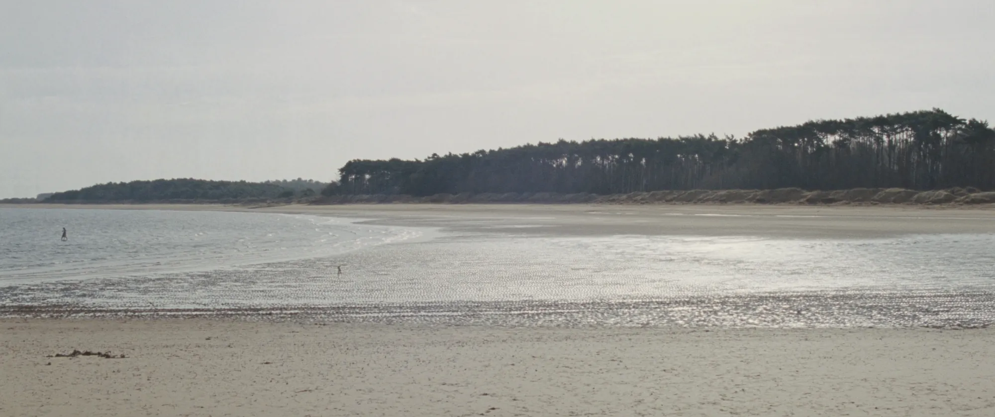Holkham, and all that sand